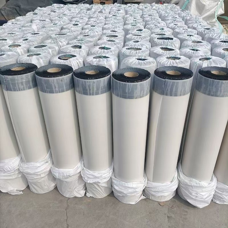 Bitumen Waterproofing: A B2B Buyer's Guide to Membranes, Specs, and Inquiries